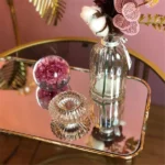 Tableware Cosmetics Dish With Mirror Tray - Image 5